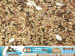 25kg Waldvogelfutter Premium ohne R�bsen