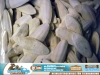 5kg Sepiaschalen f�r V�gel und Reptilien