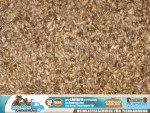 1kg Mariendistelsamen mit Silymarin