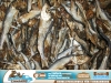1kg Trockenfisch Polardorsch