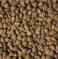 Preview: 15kg Vollmer´s Vollmer Lamm und Reis Hundefutter Trockenfutter