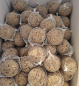 Preview: 100Stk Meisenknödel klein mit Netz Energy mit Frucht und Insekten und Beeren Schalenlos NEU mit Spender auch für die Aufzucht geeignet