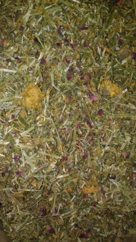 500 gramm Wilde Blumenwiese für Nager