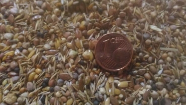 2,5kg Wildsämereien Unkrautsamen
