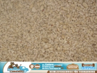 10kg Erdnüsse gehackt