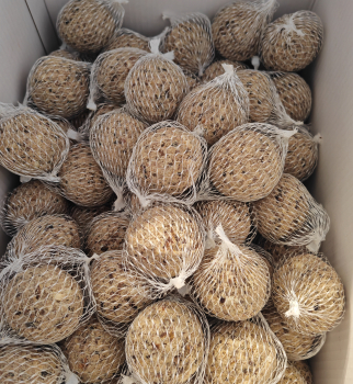 100Stk Meisenknödel klein mit Netz Energy mit Frucht und Insekten und Beeren Schalenlos NEU mit Spender auch für die Aufzucht geeignet