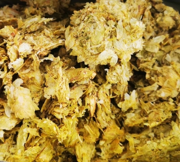 500 gramm Hopfen Futtermittel schmerzlindernde, krampflösende und antiseptische Wirkung appetitanregend und beruhigend - Kopie