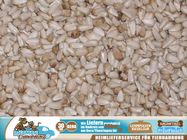 1kg Kardisaat Färberdistel Saflor Safrandistel flascher Safran