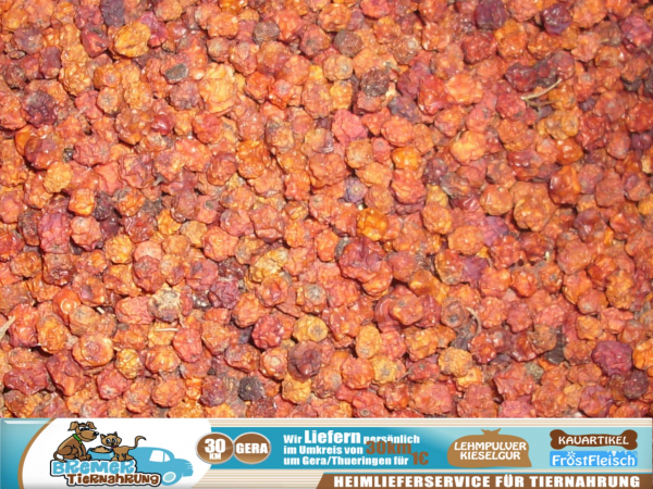 250 gramm Ebereschen Vogelbeeren Mehlbeeren