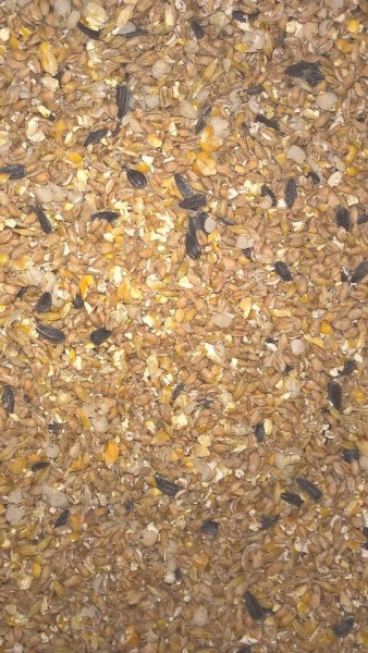 25kg Hühnerfutter Körnermischung mit Sonnenblumenkerne Muschelkalk ohne Gentechnik Soja