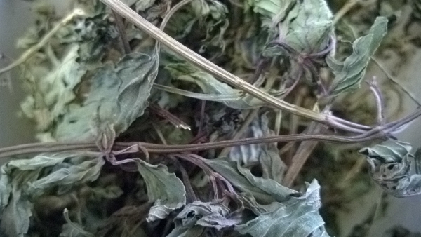 5kg Pfefferminzblätter Pfefferminze getrocknet Blätter mit Stiele