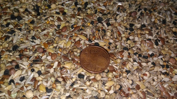 1kg Gesundheitssamen Leckerbissen Mischung auf Basis von Wildsamen; für eine vortreffliche Kondition, bessere Zuchtresultate und eine flotte Mauser