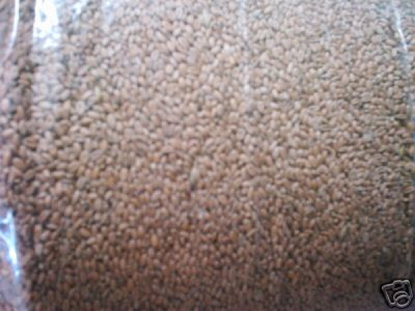 1kg Nackter Hafer geschält Haferkerne