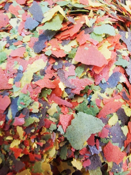 350 gramm im Eimer Teichflocke Zierfischflocke Multi Color ist ein farbiger Flocken Mix als Hauptfutter für alle Gartenteichfische und Zierfische - Kopie