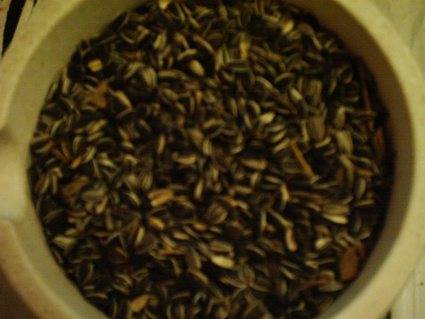 1kg Sonnenblumenkerne gestreift