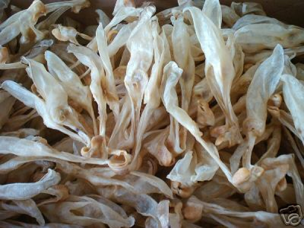 500gramm Hasenohren Kaninchenohren