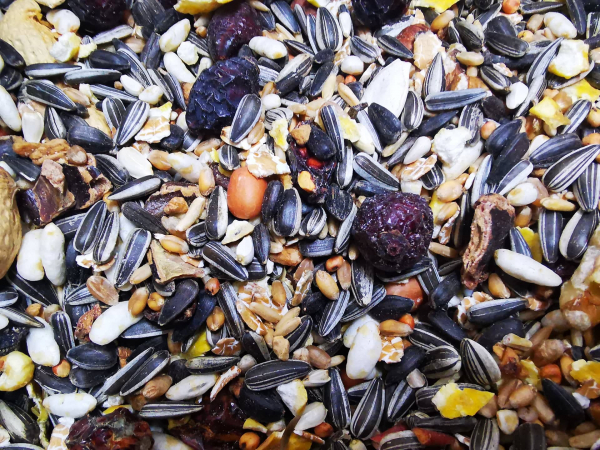 2,5kg Streifenhörnchenfutter Streifenhörnchen auch für Eichhörnchen geeignet