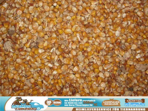 2,50kg Ganzer Mais Hartmais Futtermais