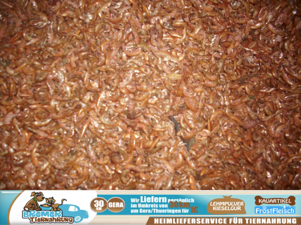 10 Liter Bachflohkrebse