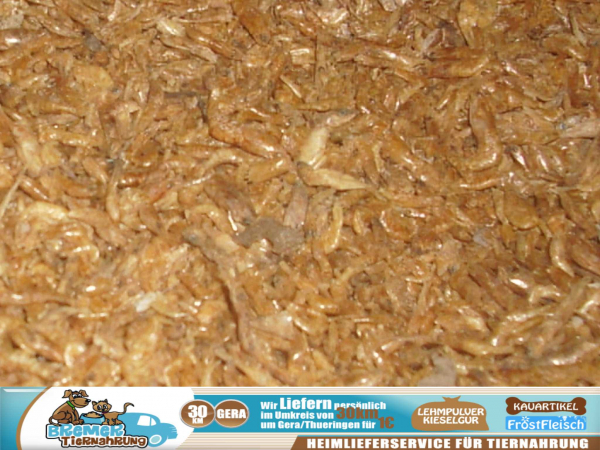 2500ml Süsswassershrimps