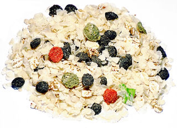 5kg Vollmer´s Vollmer Reiskost 5kg Diätfutter