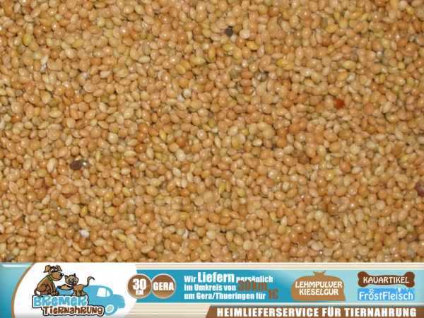 2,5kg gelbe Hirse Plata