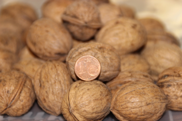 1kg Walnüsse