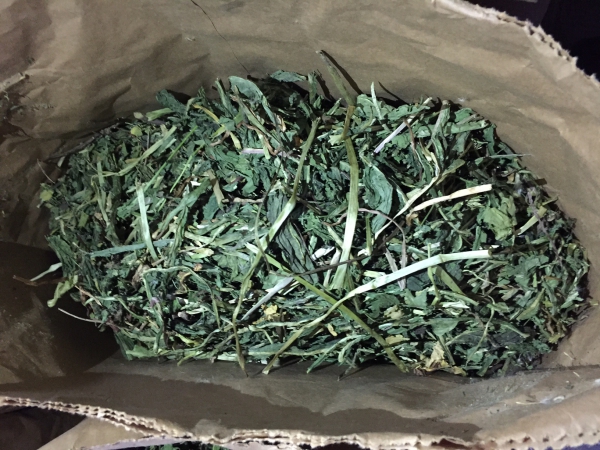 8kg Löwenzahnblätter 1A Qualität TOP beste Sortierung