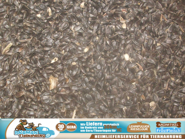 1kg Sonnenblumenkerne schwarz Aktuelle Ernte Garantiert