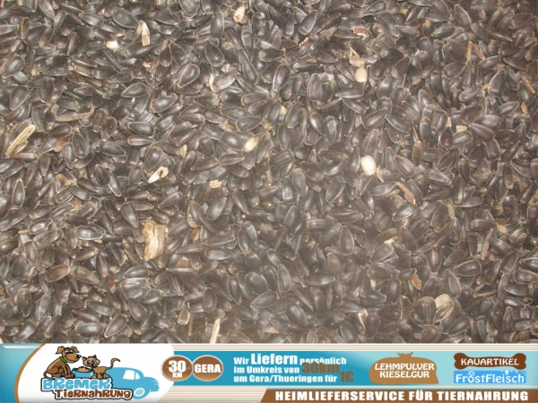 5kg Sonnenblumenkerne schwarz Aktuelle Ernte Garantiert