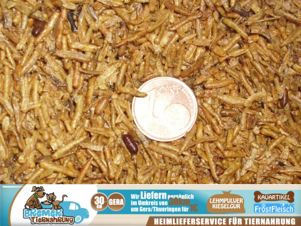 1kg Maden getrocknet Nagerfutter Vogelfutter Schildkröten