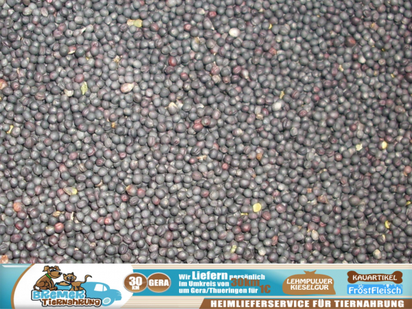 10kg Rapssamen Rapskörner