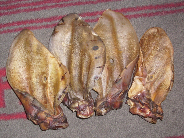 1 Stk Rinderohr gross mit kleiner Ohrmuschel