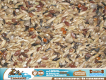 2,5kg Kanarienfutter Standard mit Rübsen